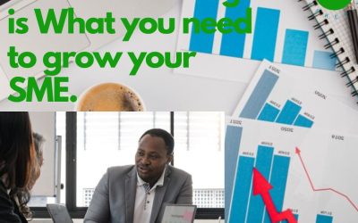 Sales Consulting, What You Need To Grow Your SME.